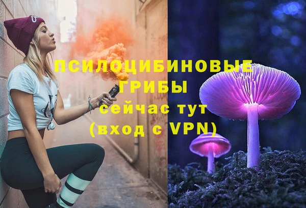 бутират Алексин
