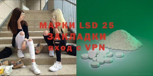 PSILOCYBIN Алзамай