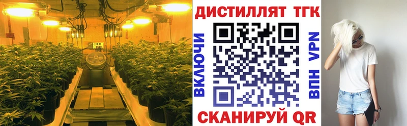 Дистиллят ТГК гашишное масло купить наркотик мега как войти Десногорск