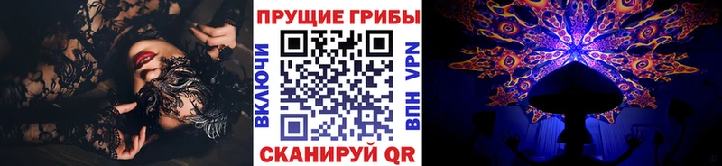 Псилоцибиновые грибы Psilocybe  Десногорск 